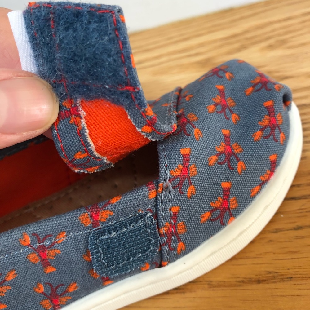 🦞 TOMS lobsters & gray flat w/Velcro size 6 🦞 - Picture 4 of 7